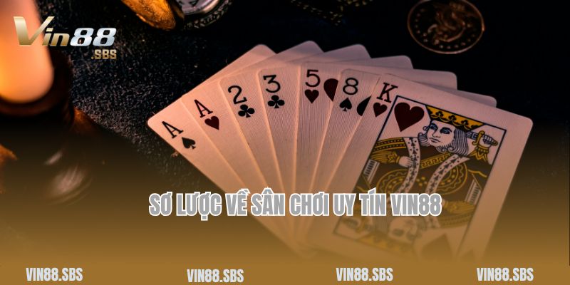 Chính Sách Bảo Mật 1 Sơ lược về sân chơi uy tín Vin88